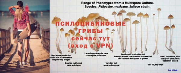 винт Бородино